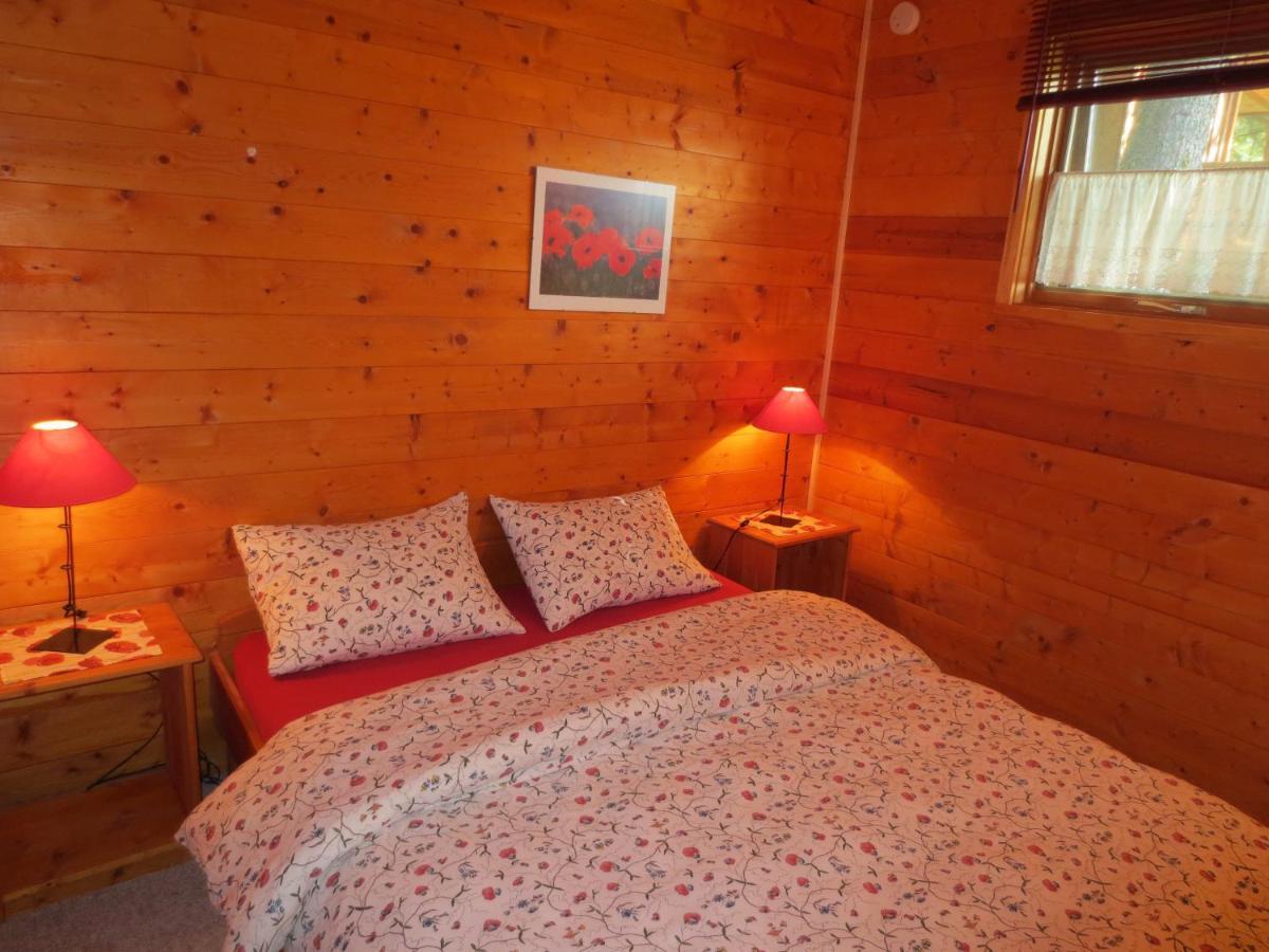 Blaeberry Mountain Lodge Golden Room photo